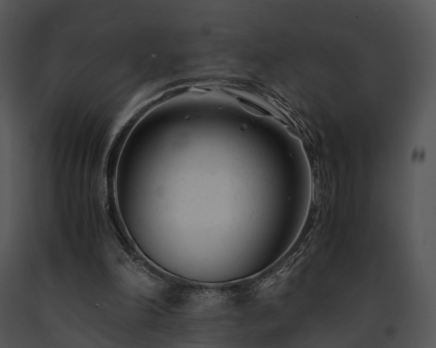 X0000091660198200708301445