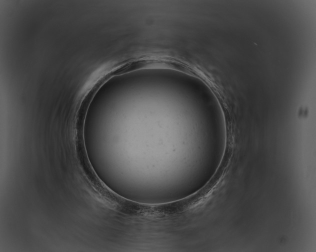 X0000091660199200708301445