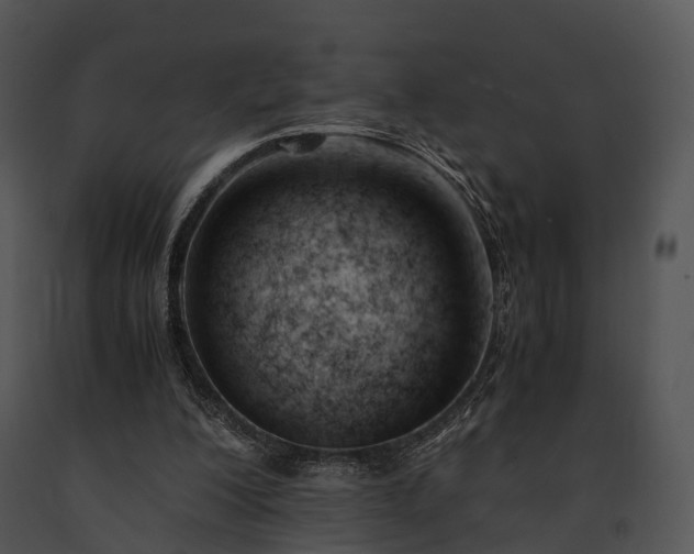 X0000091660200200708301445