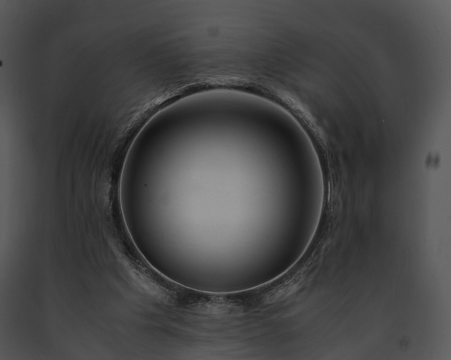 X0000091660201200708301445