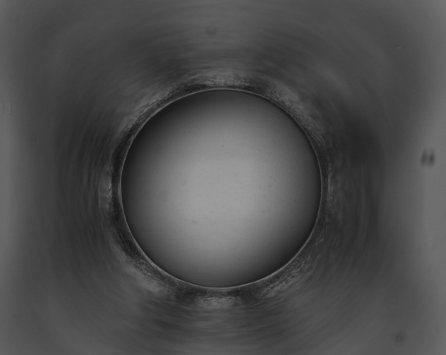 X0000091660202200708301445