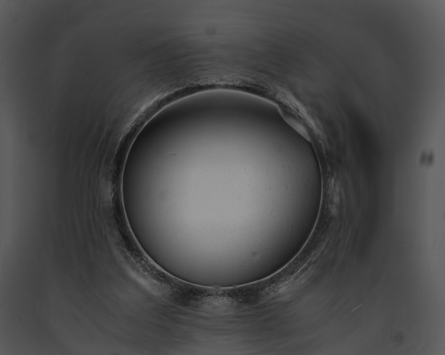 X0000091660203200708301445