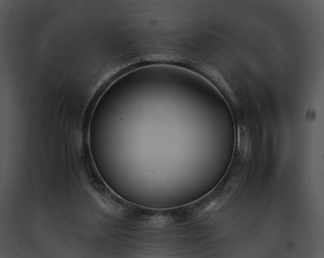 X0000091660204200708301445