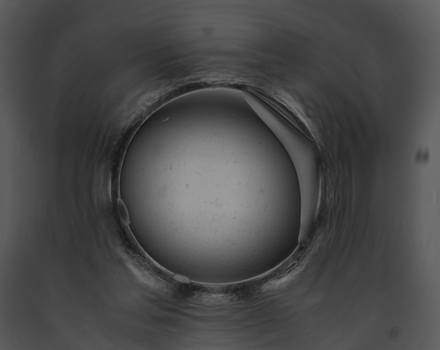 X0000091660205200708301445