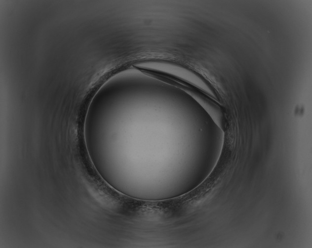 X0000091660207200708301445