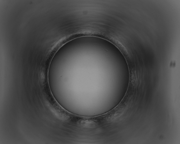 X0000091660208200708301445