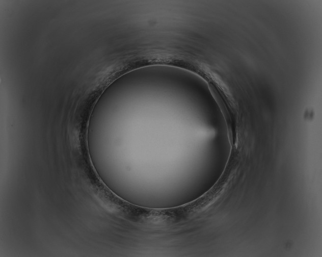 X0000091660209200708301445