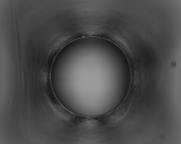 X0000091660210200708301445