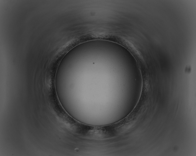 X0000091660211200708301445