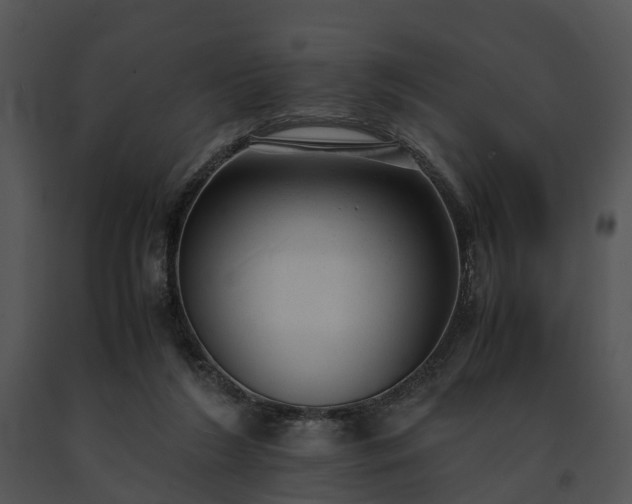 X0000091660212200708301445