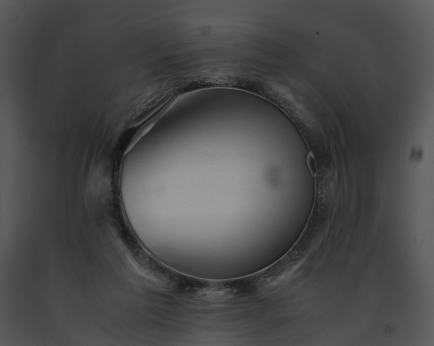 X0000091660213200708301445