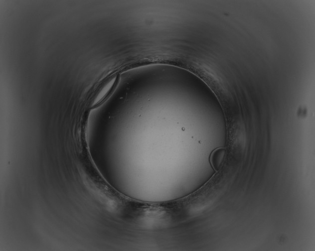 X0000091660214200708301445