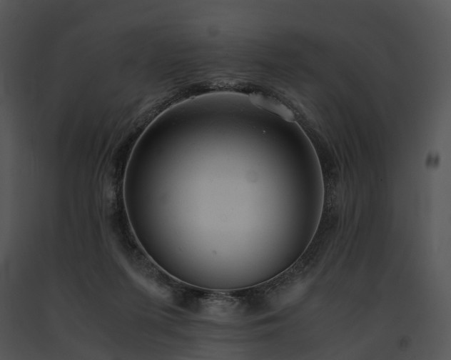 X0000091660215200708301445