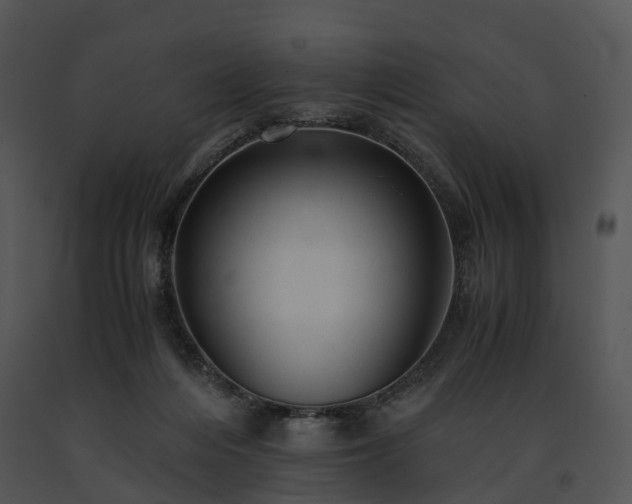 X0000091660216200708301445