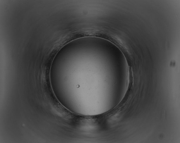 X0000091660217200708301445