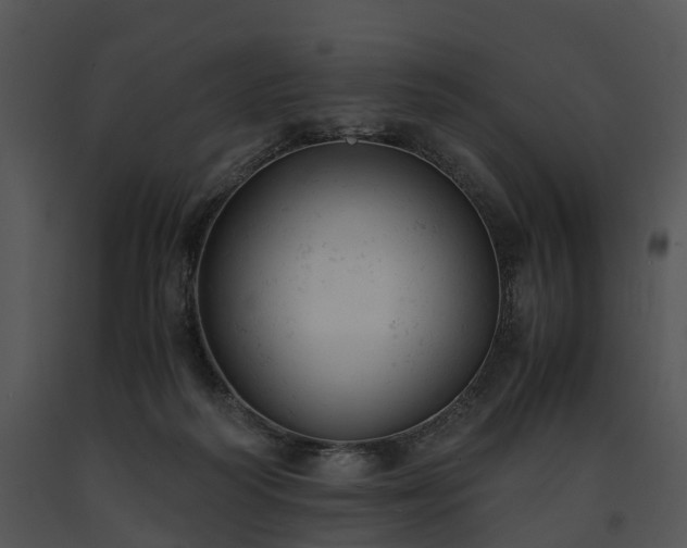 X0000091660218200708301445