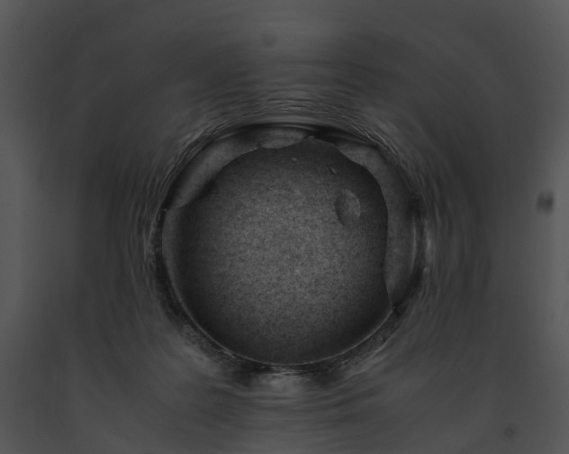 X0000091660219200708301445