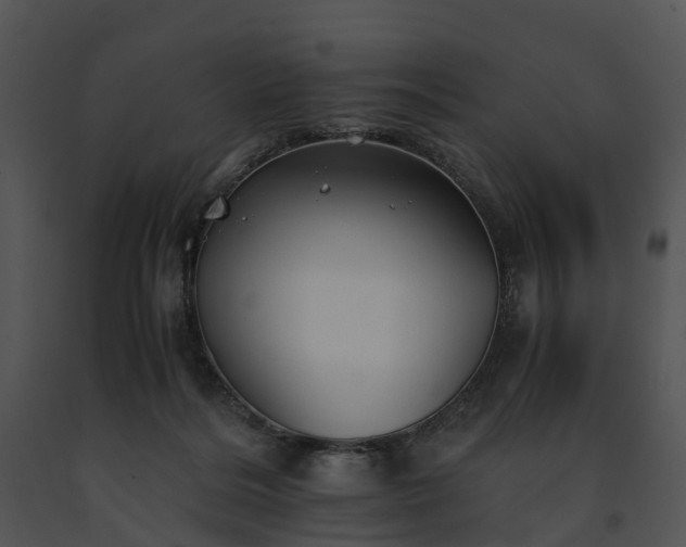 X0000091660220200708301445