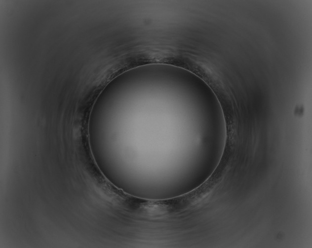 X0000091660221200708301445