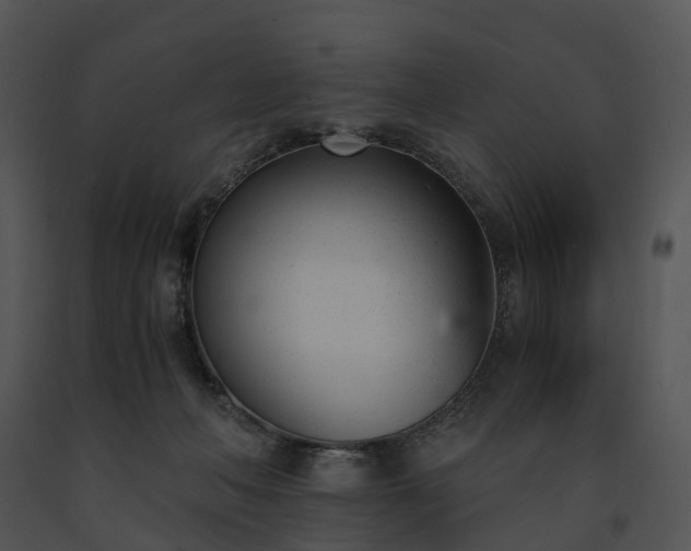 X0000091660222200708301445