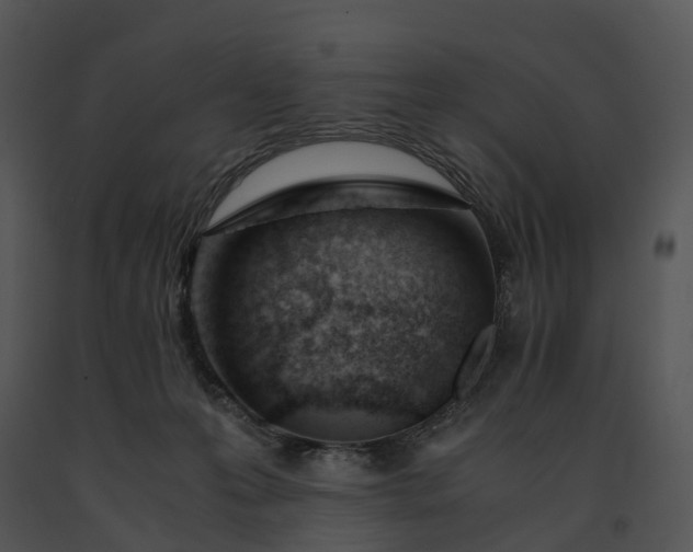 X0000091660223200708301445