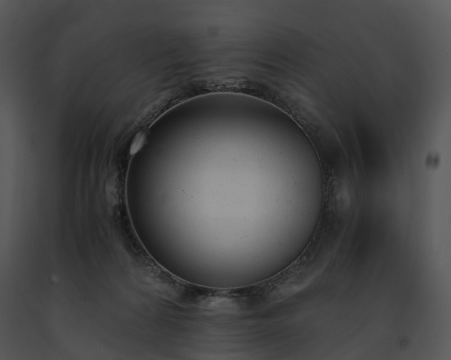 X0000091660224200708301445