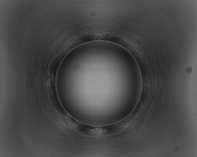 X0000091660225200708301445