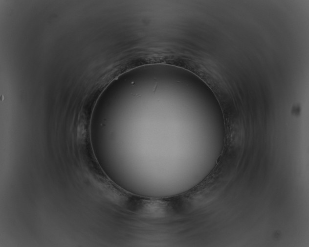 X0000091660226200708301445