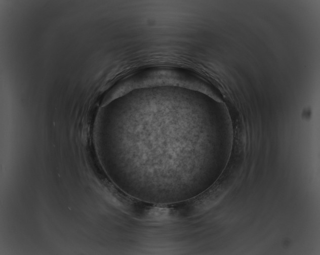 X0000091660227200708301445