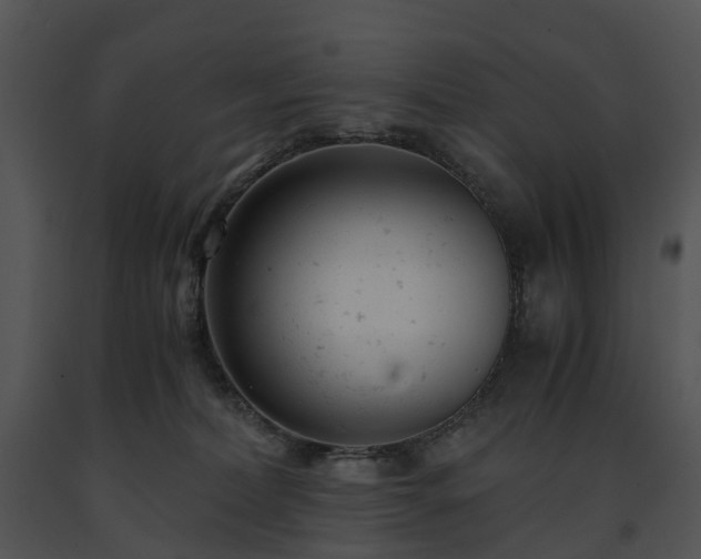 X0000091660228200708301445