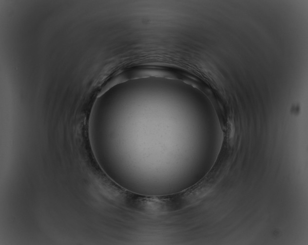 X0000091660229200708301445