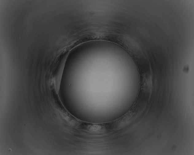 X0000091660230200708301445