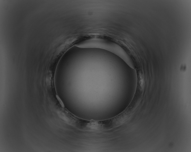 X0000091660231200708301445