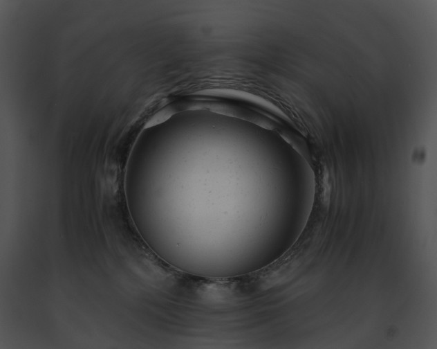 X0000091660232200708301445