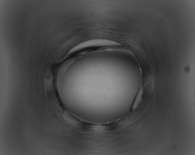 X0000091660233200708301445