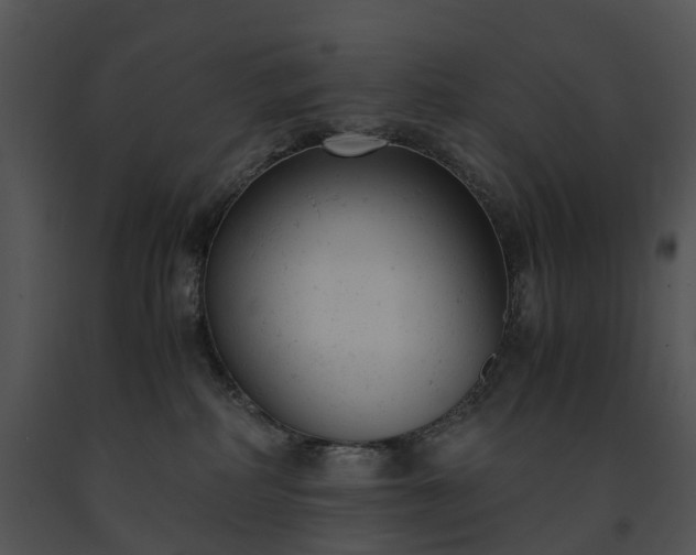 X0000091660234200708301445