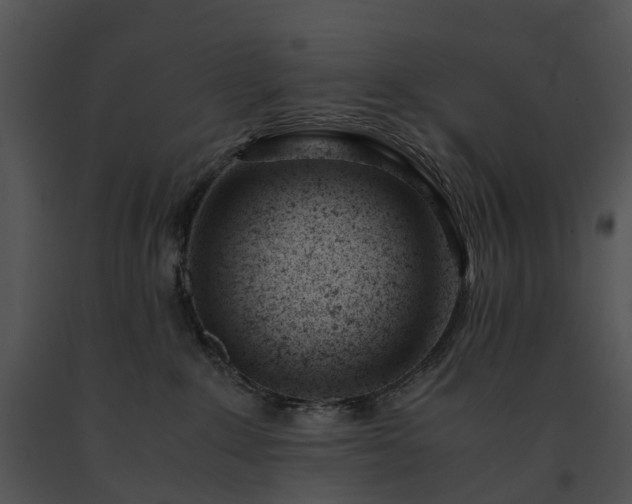 X0000091660235200708301445