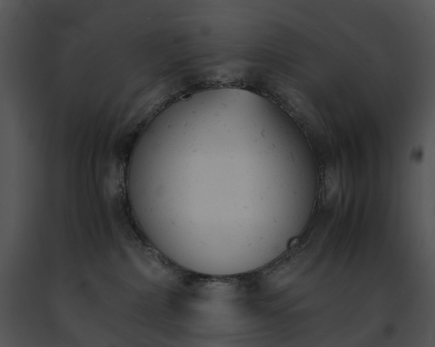 X0000091660236200708301445