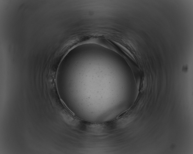 X0000091660237200708301445