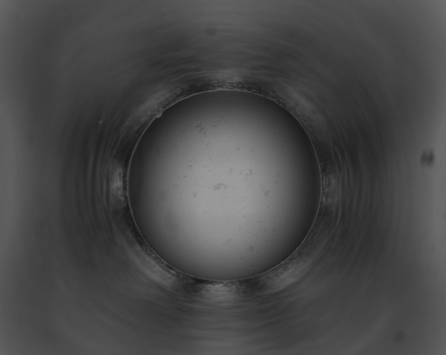 X0000091660238200708301445