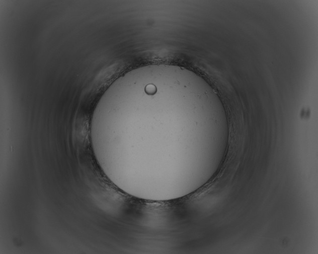 X0000091660240200708301445