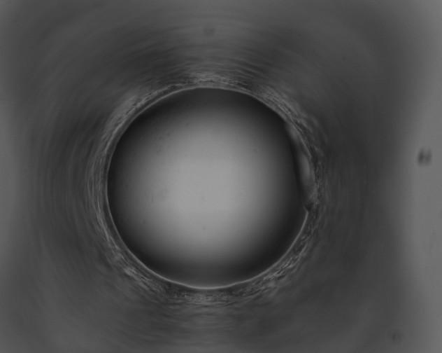 X0000091660241200708301444