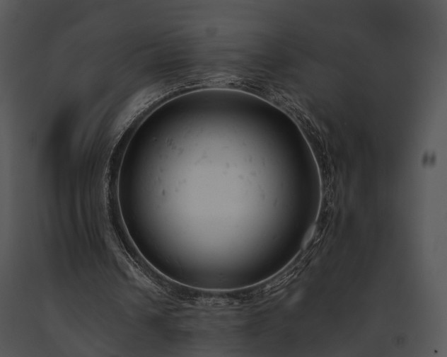 X0000091660242200708301444