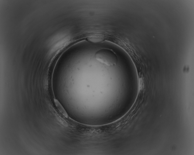 X0000091660243200708301444