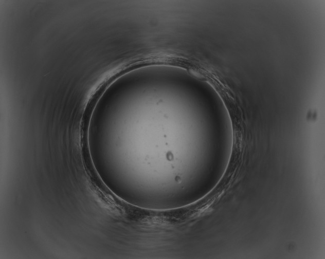 X0000091660244200708301444