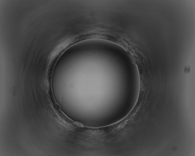 X0000091660245200708301444