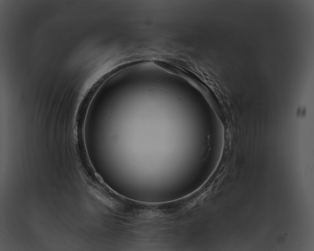 X0000091660246200708301444