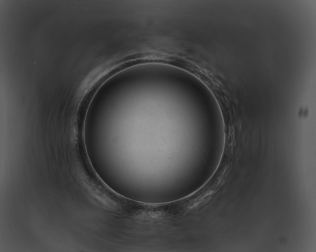 X0000091660247200708301444