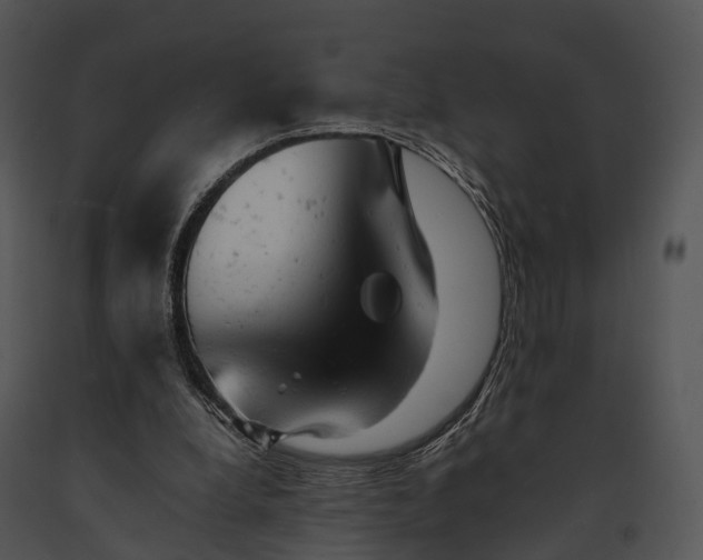 X0000091660248200708301444