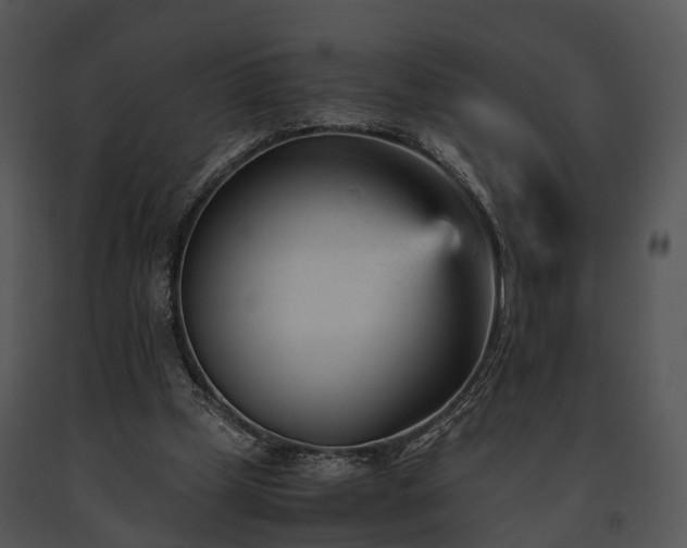 X0000091660249200708301444